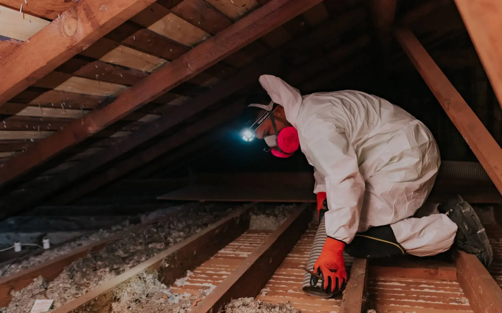 Attic cleaning